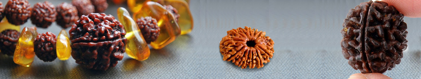 Rudraksha testing and certification